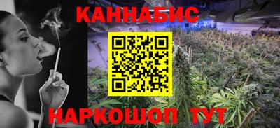Альфа ПВП Малгобек