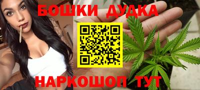 Альфа ПВП Малгобек