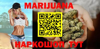 Альфа ПВП Малгобек