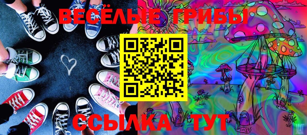 Псилоцибиновые грибы GOLDEN TEACHER Зеленокумск