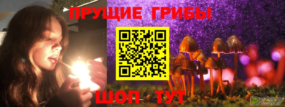 Зеленокумск  Галлюциногенные грибы Psilocybine cubensis  Вход с VPN 